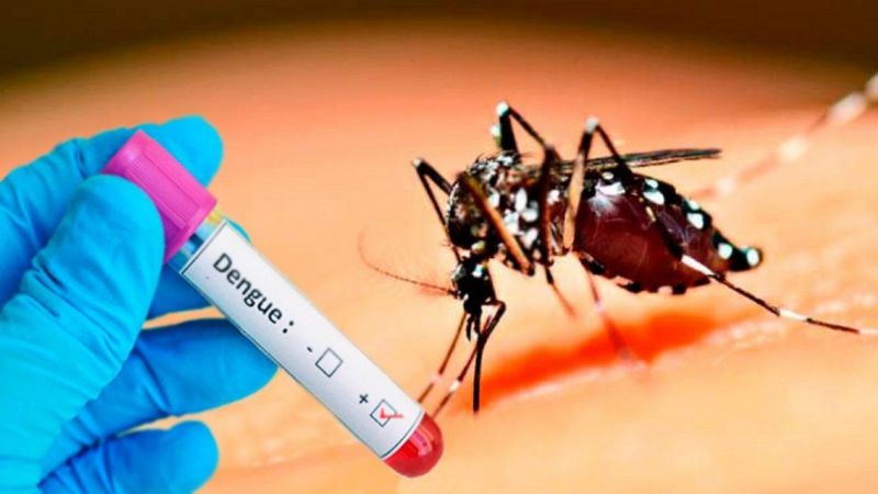 Tucumán enfrenta el brote de dengue más severo de su historia