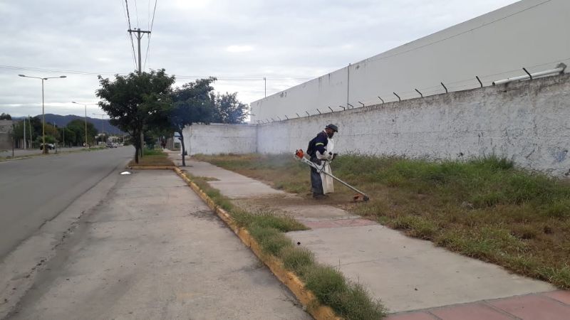 Tareas de limpieza y mantenimiento