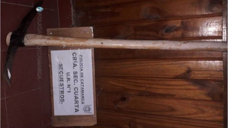 Dejó estacionada la camioneta y le robaron la picota