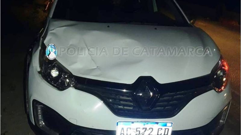 Embistió a un caballo en el ingreso a Banda de Varela
