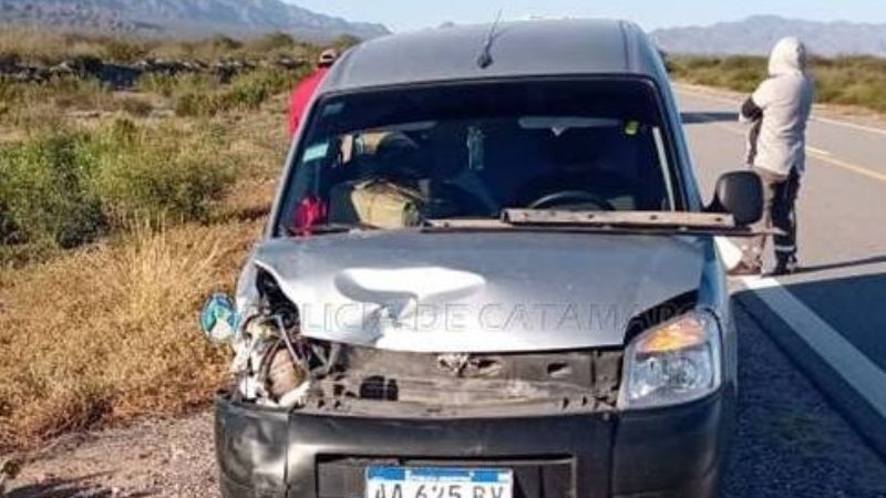 Chocó contra dos animales sueltos en la ruta 46