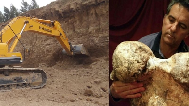 Hallaron un “eslabón perdido” de 700 mil años de antigüedad