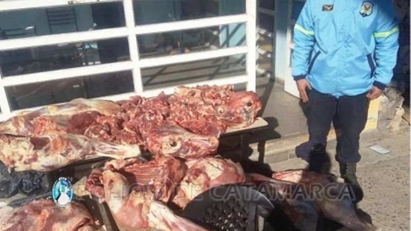 Llevaba gran cantidad de carne sin la cadena de frío
