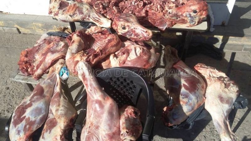 Llevaba gran cantidad de carne sin la cadena de frío
