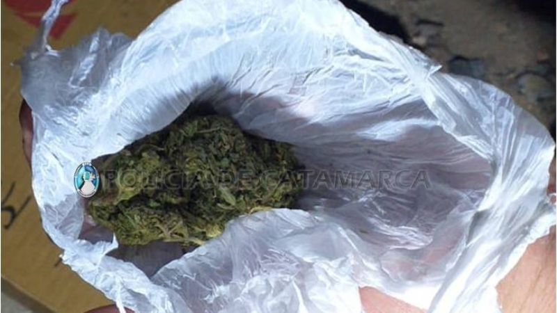 Secuestran una bolsa con cogollos de marihuana en Santa María