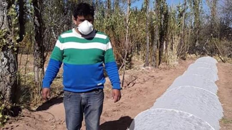 Productores de Palo Blanco ensayan nuevo método de cultivo