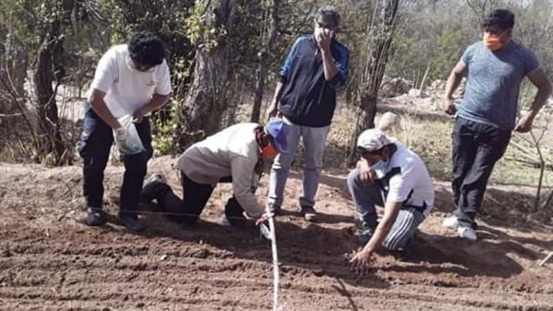 Productores de Palo Blanco ensayan nuevo método de cultivo