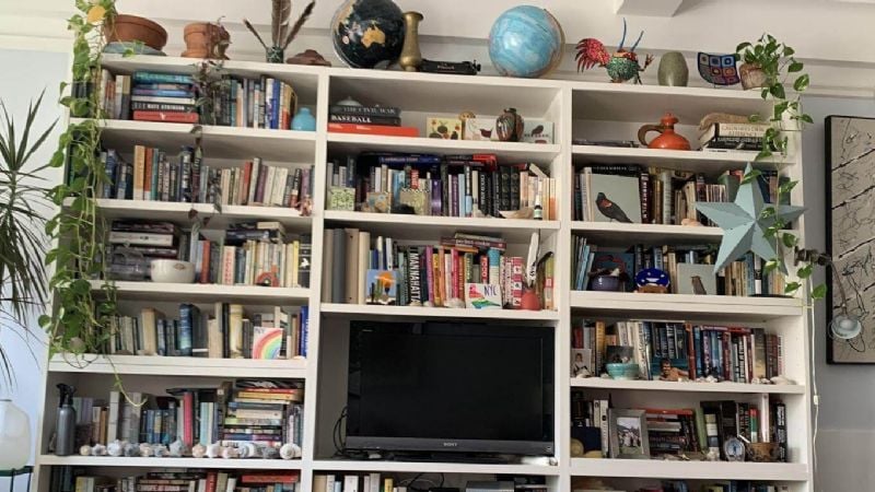 Furor por nuevo reto viral: ¿Dónde está el gato?