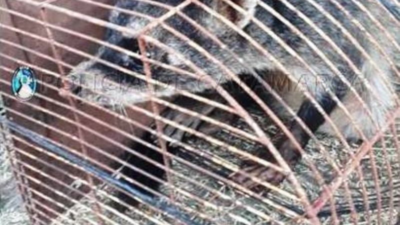 Secuestran un mayuato en Ambato