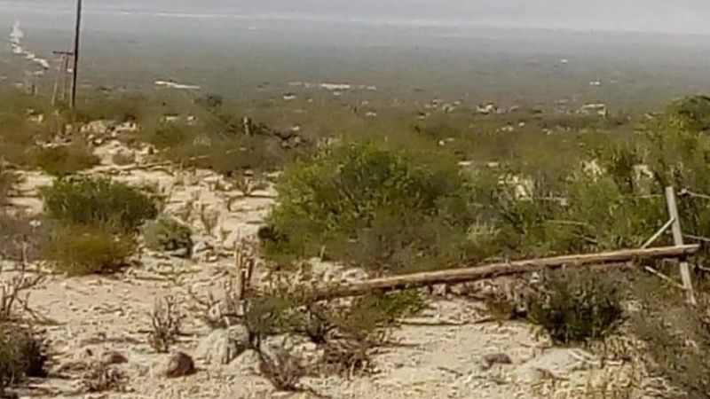 El Oeste sin energía por fuerte viento zonda