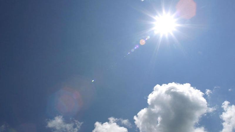 El otoño se despide primaveral y comienza el invierno