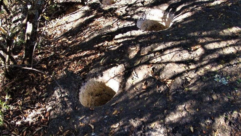 Descubren un antiguo montículo ceremonial prehispánico en la Quebrada de El Tala