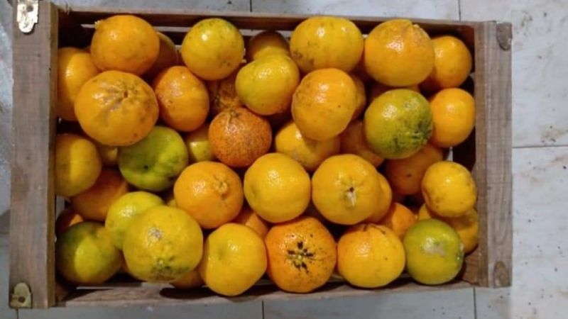 Docentes venden mandarinas para comprar insumos de higiene