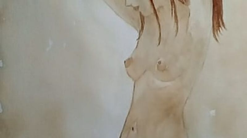 Artista catamarqueña participó en concurso internacional