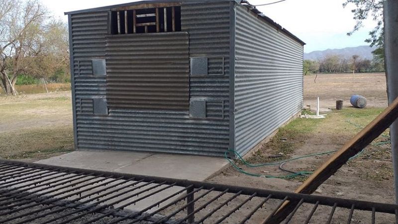 Aprehenden a un joven por intento de robo en un carro de comidas