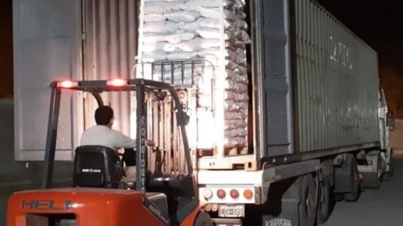 Nueces de Andalhuala, Santa María, a Italia