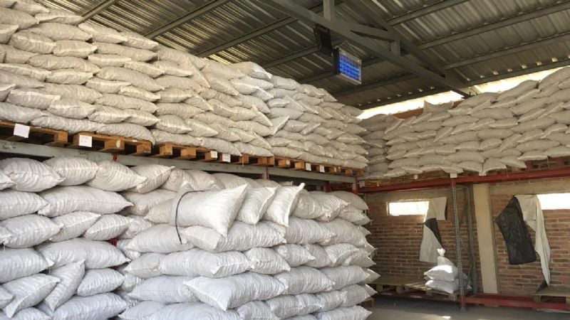 Nueces de Andalhuala, Santa María, a Italia