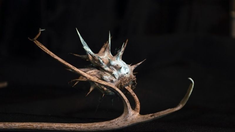 Cinco artistas de Catamarca, seleccionados para Muestra Itinerante de Fotografía