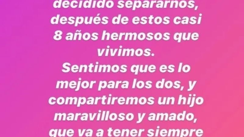 Tinelli: "Con Guillermina hemos decidido separarnos"