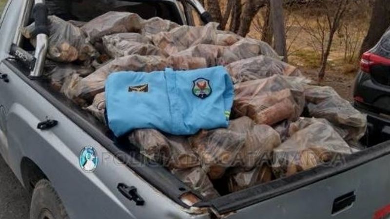 Le secuestraron 680 kilos de leña
