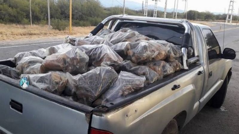 Le secuestraron 680 kilos de leña
