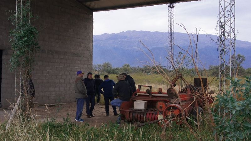 Buenas noticias para pequeños productores olivícolas de Capayán