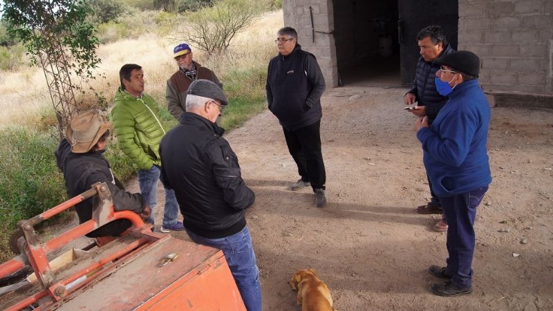 Buenas noticias para pequeños productores olivícolas de Capayán