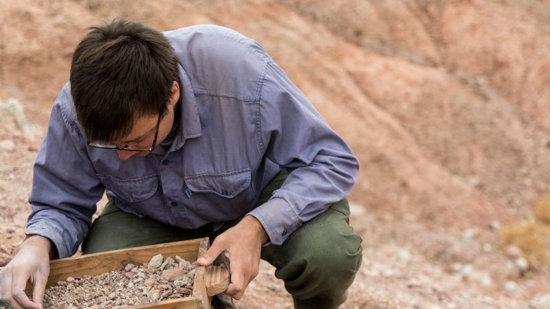 Descubren un pequeño dinosaurio carnívoro con alas en la Patagonia