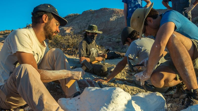 Descubren un pequeño dinosaurio carnívoro con alas en la Patagonia