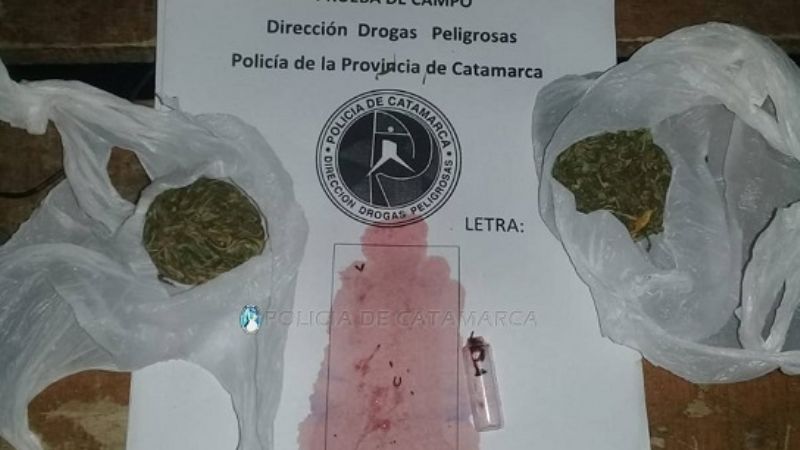 Secuestran marihuana en Tinogasta