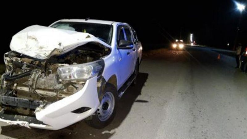 Chocó con un caballo en la Ruta Nacional N°157