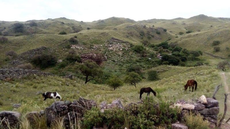 Historias del interior profundo: "estudiar es un derecho"