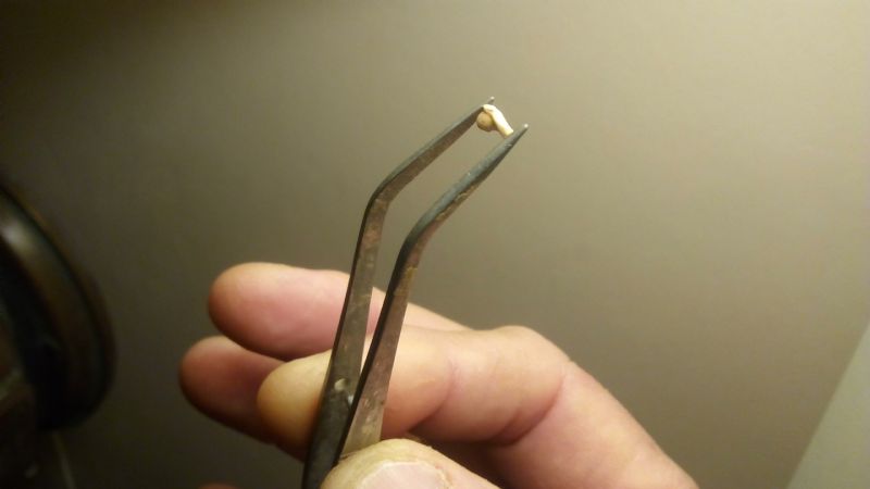 Descubren una pequeña rana fósil de 2 millones de años