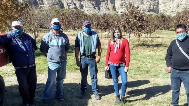 Avanza el proyecto para la Planta de Procesamiento de Nuez en Entre Ríos