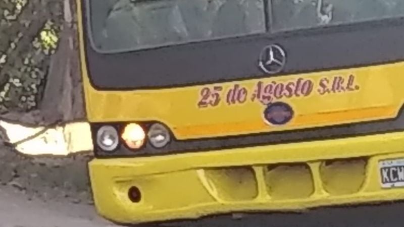 En pleno recorrido, un colectivo perdió una rueda