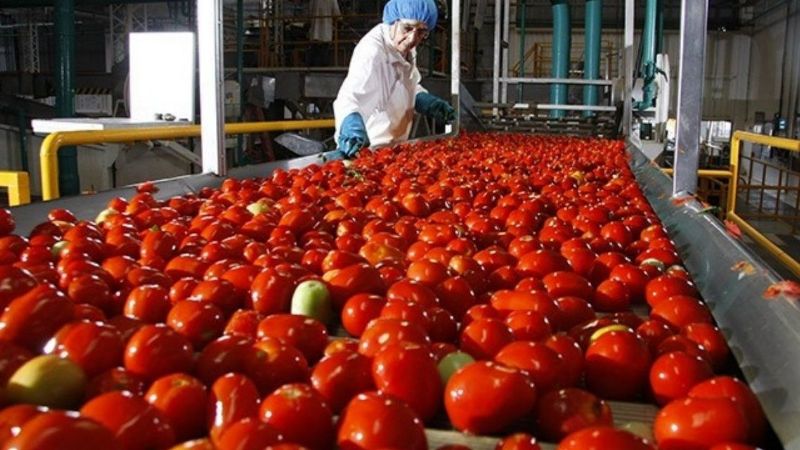 Empresa de alimentos niega la posibilidad de una rata en puré de tomate