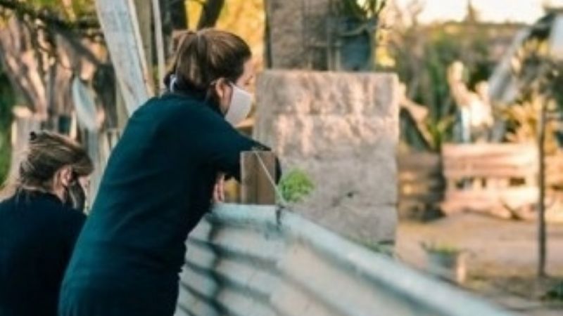 Denunciaron agresiones contra la intendenta Zenteno