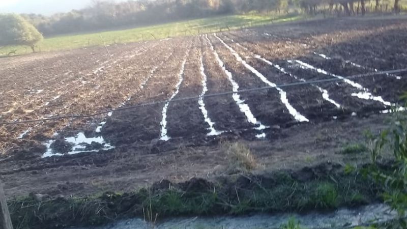 Al rescate de una Catamarca autosustentable