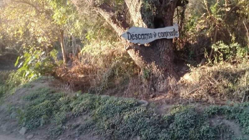 Al rescate de una Catamarca autosustentable