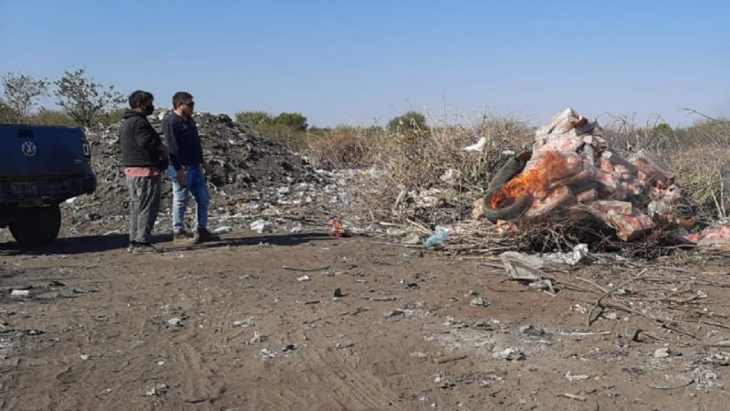 Incineraron los pollos secuestrados