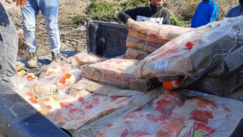 Incineraron los pollos secuestrados