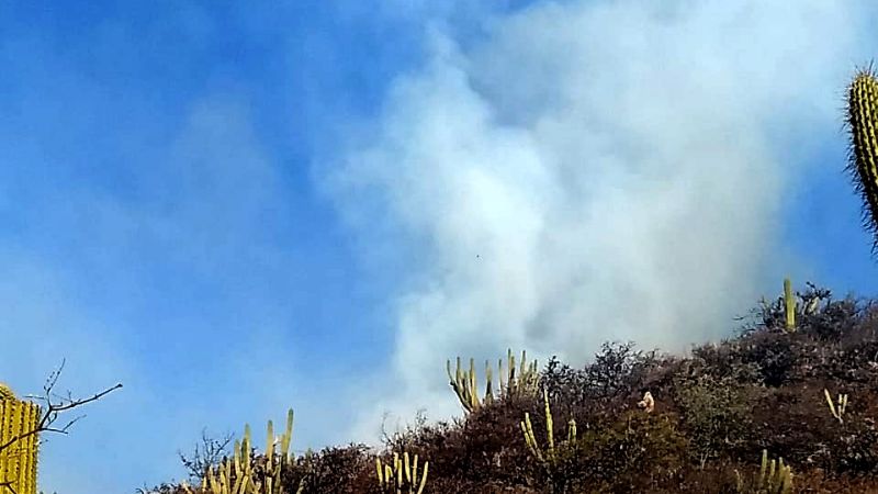 Bomberos combatieron dos incendios intencionales en el Valle Central