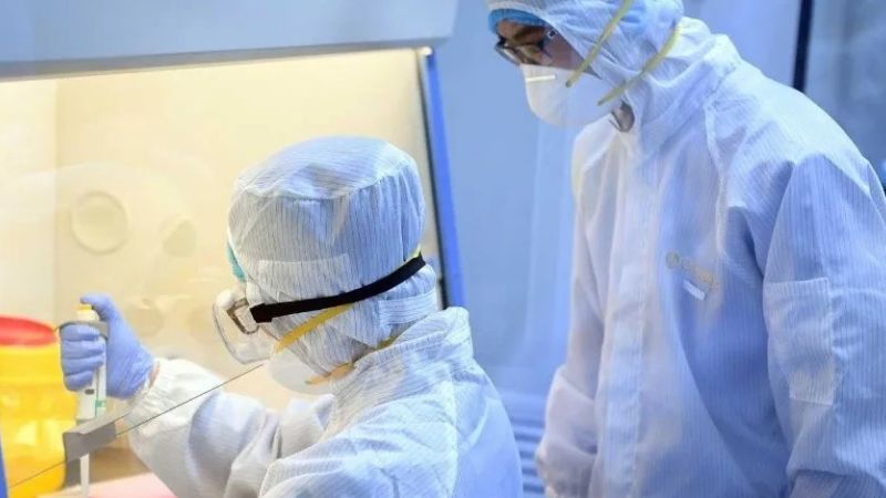 Investigadores revelaron que el coronavirus podría morir desnutrido