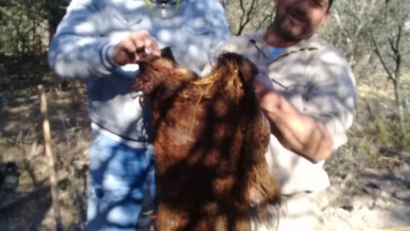 Tras arduo trabajo, se normaliza el suministro en Recreo