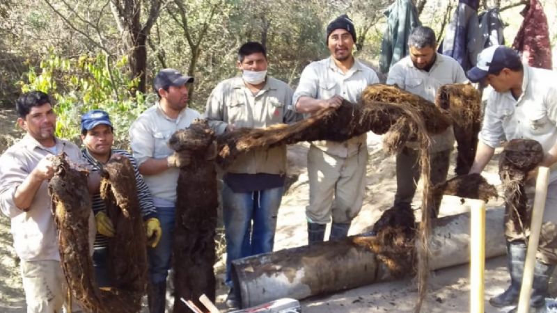 Tras arduo trabajo, se normaliza el suministro en Recreo