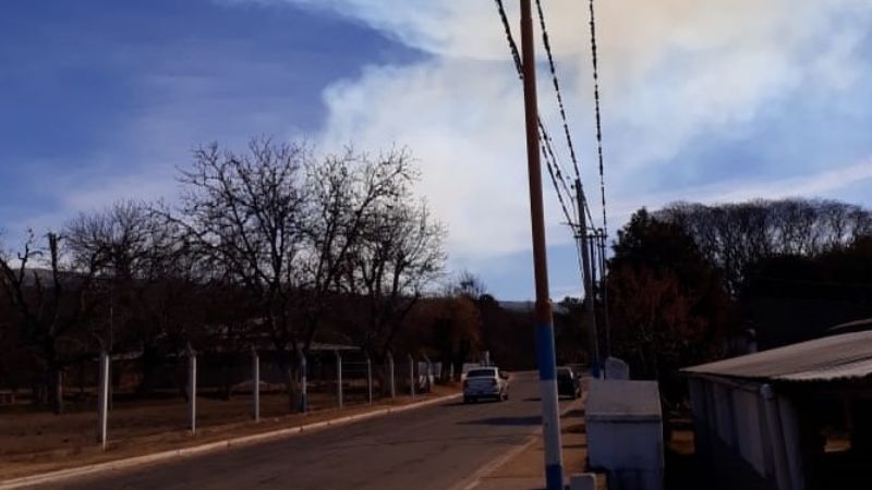Combaten incendio forestal en Humaya