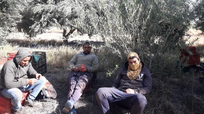 Detectaron 24 trabajadores rurales en situación de informalidad