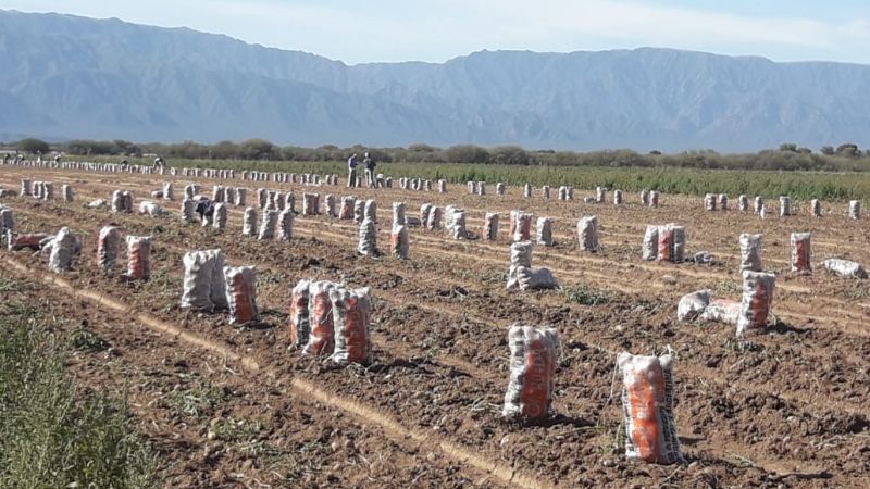Detectaron 24 trabajadores rurales en situación de informalidad