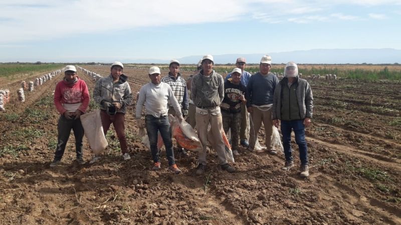 Detectaron 24 trabajadores rurales en situación de informalidad