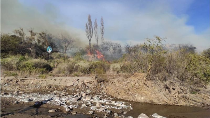 Bomberos llegaron a tiempo para apagar un incendio que iba a alcanzar a viviendas